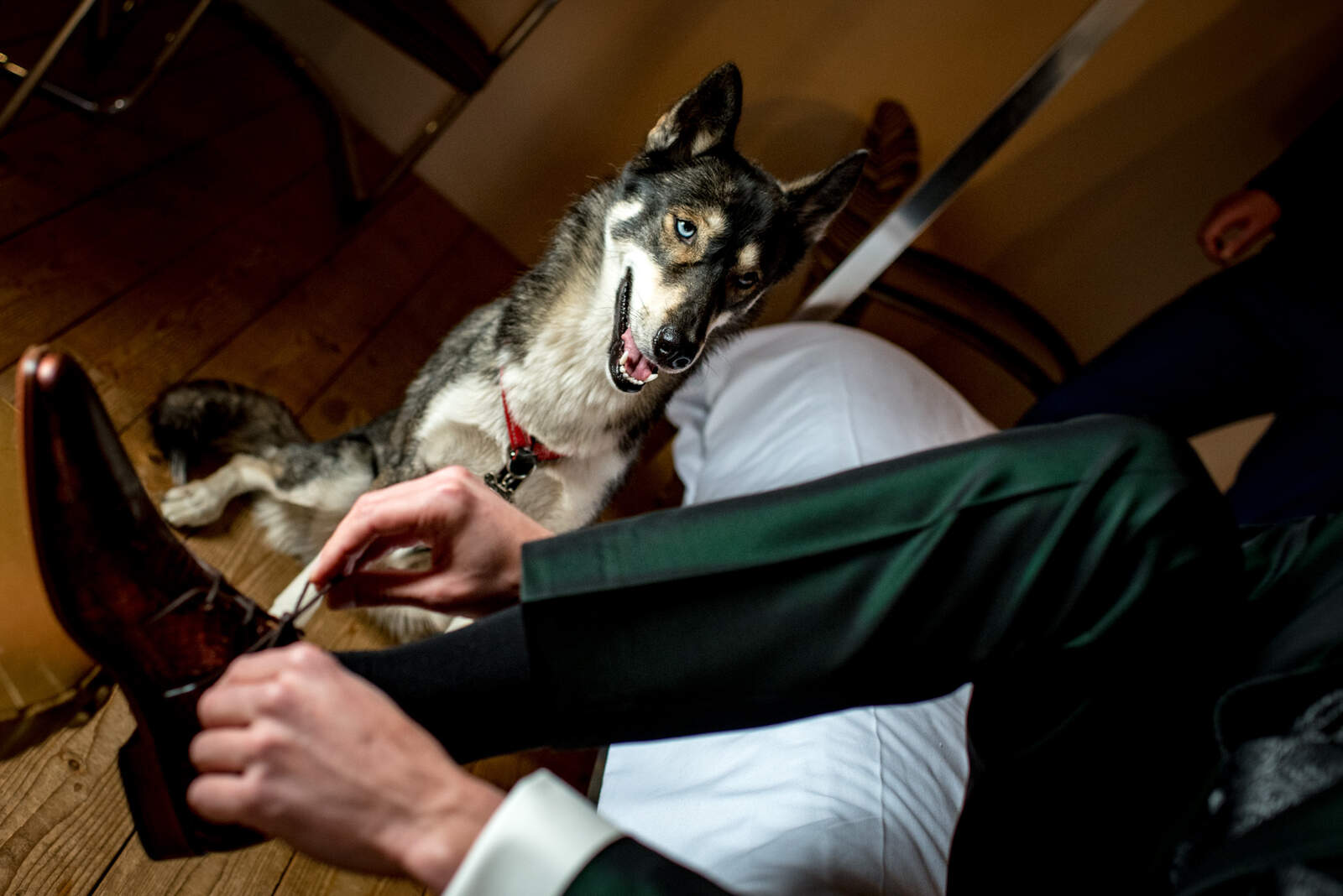 Iris Wuijster Fotografie-3_WEB