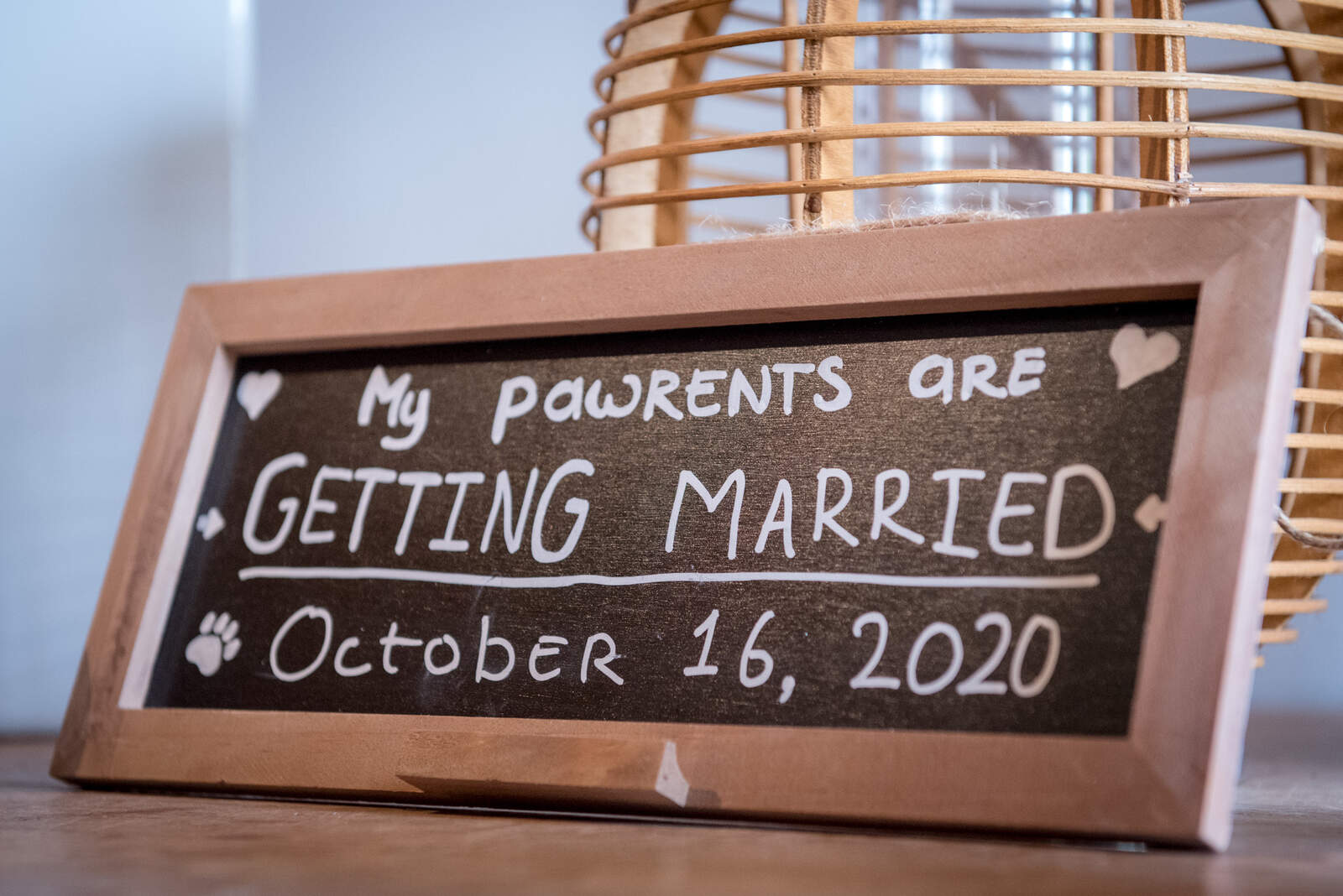 Iris Wuijster Fotografie-45_WEB