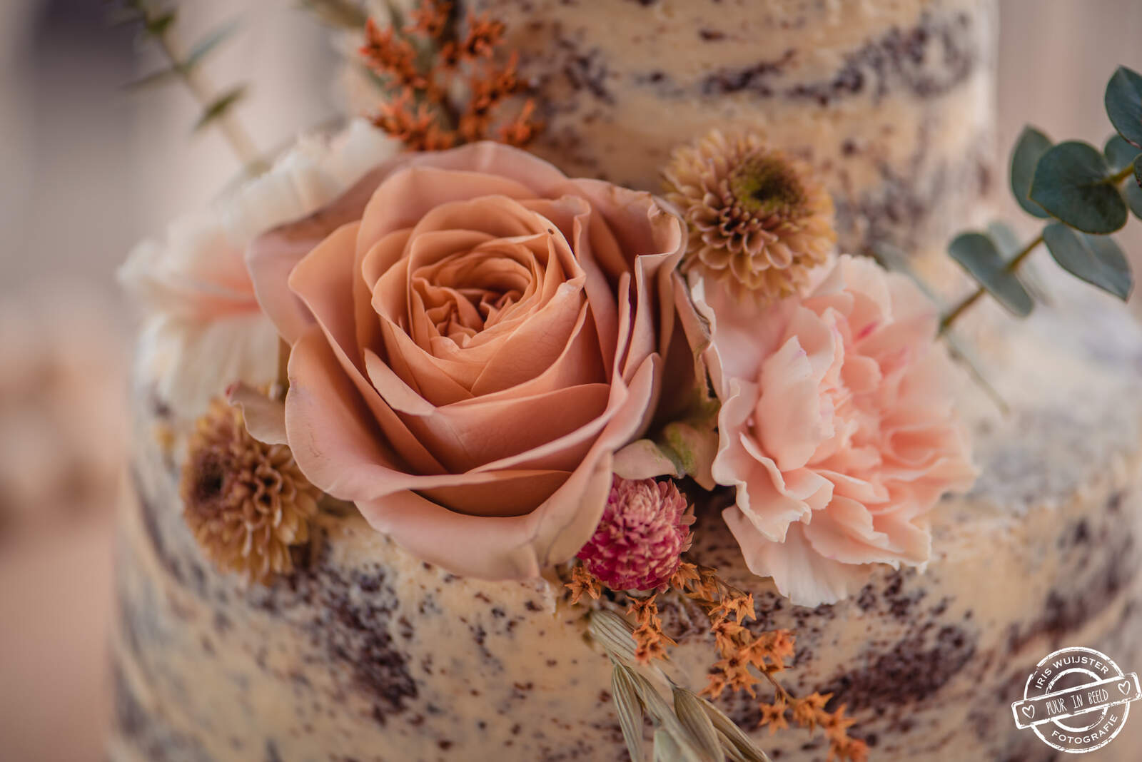 2022 Styled shoot Ocean Oasis-66_WEB