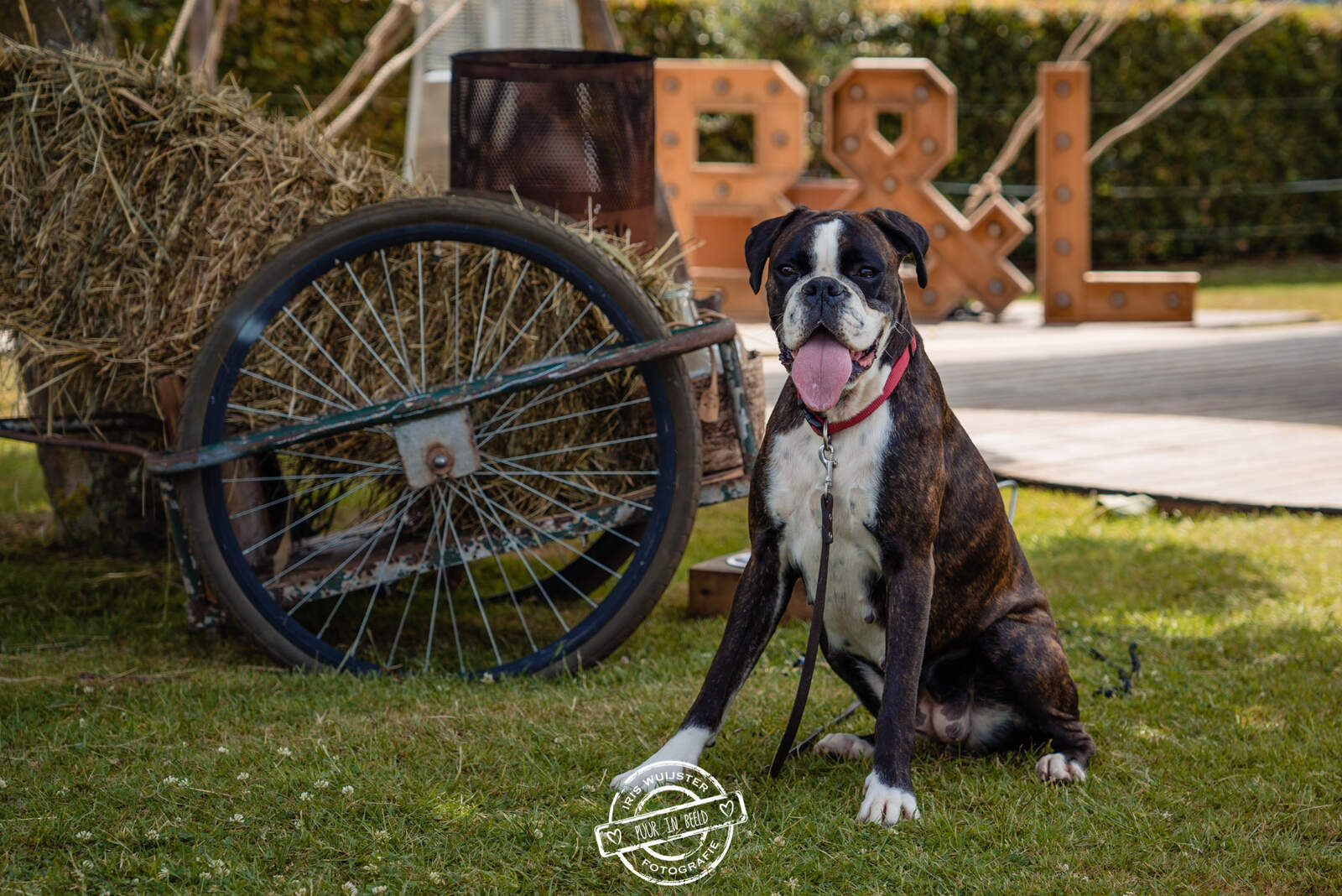 20220624 preview Bruiloft Lotte en Bart-41_WEB