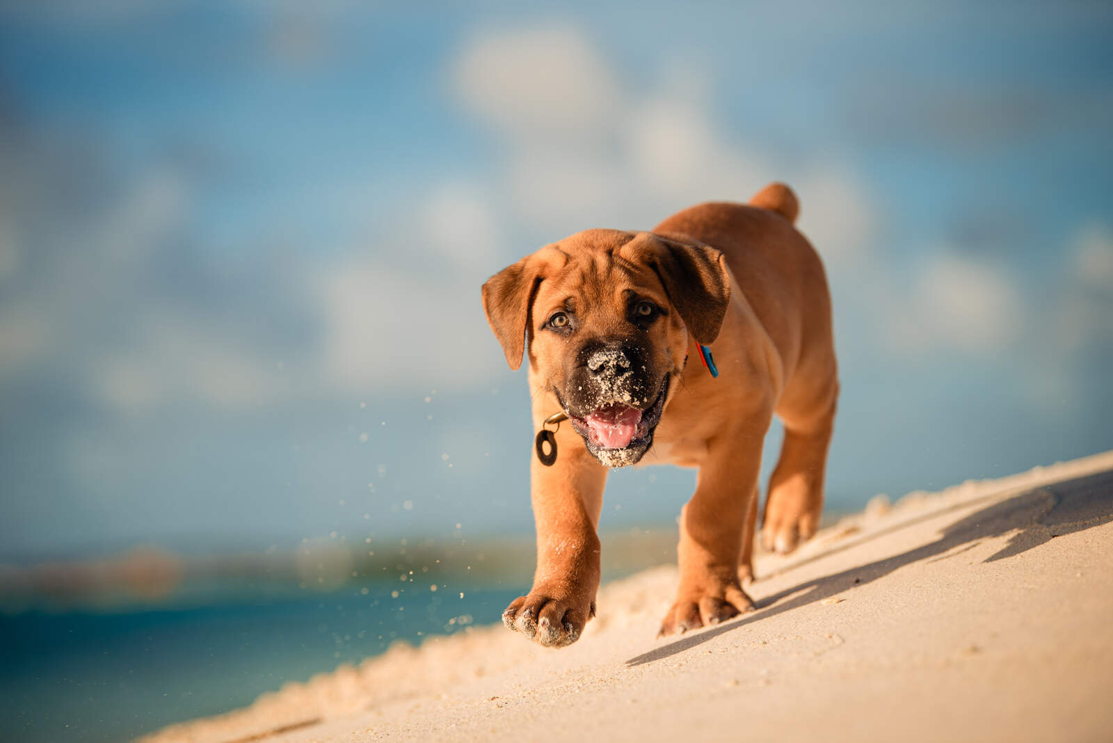 Iris Wuijster Fotografie135_HR